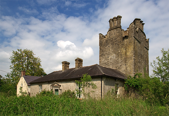 Castles of Leinster: Grange, Kildare (2)