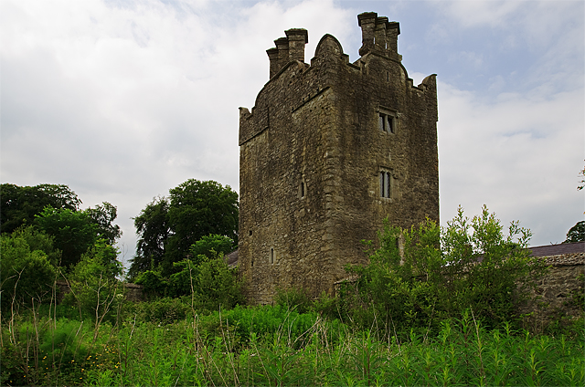 Castles of Leinster: Grange, Kildare (3)