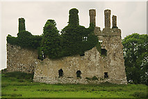 N6835 : Castles of Leinster: Carbury, Kildare (2) by Mike Searle