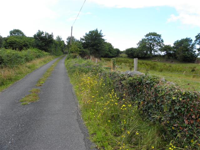 Lane, Creevagh