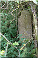 Gatepost with benchmark