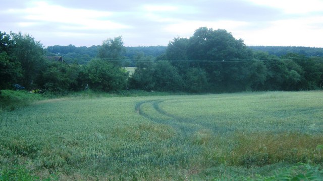 View near Ramslye Cottage