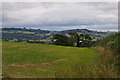 Mid Devon : Grassy Field & Countryside