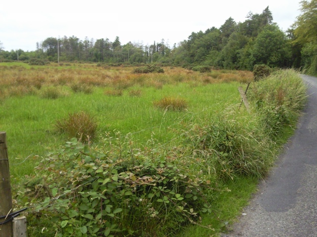 Landscape, Co Clare
