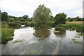 The River Wylye evening view 