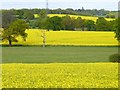 Fields at Edgwarebury