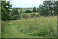 Field near Surgeys Lane