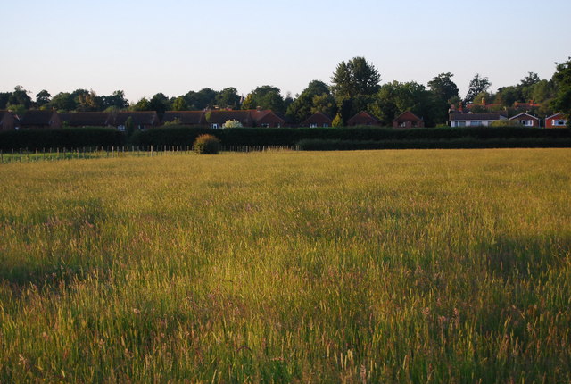 Abandoned grassy field, Hawden Farm