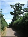 Minor road west of A376 at Ebford