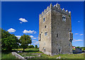 M4446 : Castles of Connacht: Ballinderry, Galway by Mike Searle