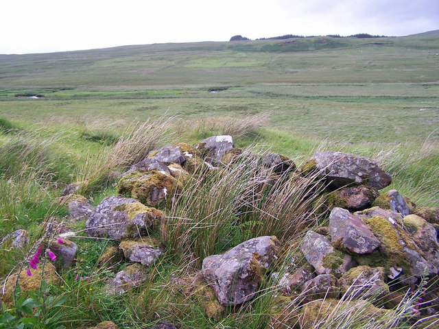 Rocks on the moor