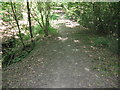 Footpath through Stones Rough