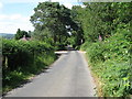 TQ5124 : Howbourne Lane towards Howbourne Farm by Dave Spicer
