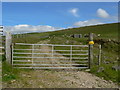 NR6629 : Gate to hillside grazing by RH Dengate