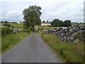 R4477 : Country Road, Co Clare by C O'Flanagan