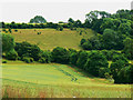 Access land, near Preston