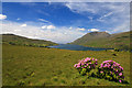 L8262 : Killary Harbour, Connemara by Mike Searle