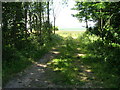 Farm track off the B1253