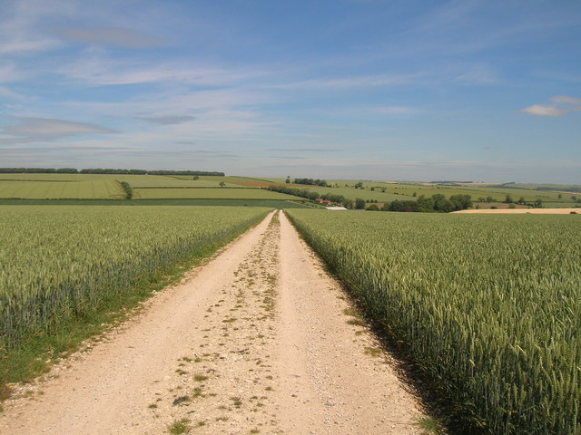Track to Low Mowthorpe Farm