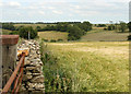 2010 : Dry Cotswold wall, wet Cotswold valley