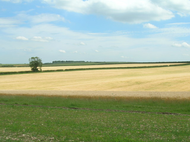 Wolds farmland near Wharram le Street