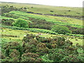 NR6942 : Moorland on west coast of Kintyre by RH Dengate