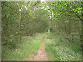 Looking east along the bridle path