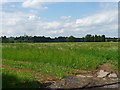 Farmland near Downe