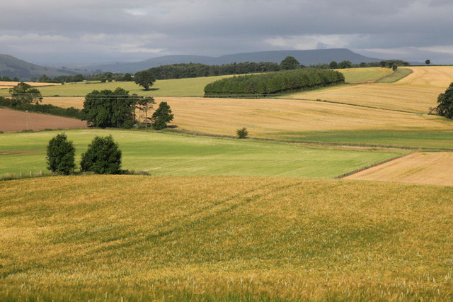 Patchwork fields © Andrew Whale :: Geograph Britain and Ireland