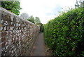 Urban path, Newick