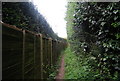 Footpath to Newick Hill