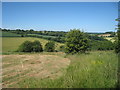 Fields near Court Lodge