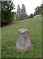 Trig Pillar, Bristol