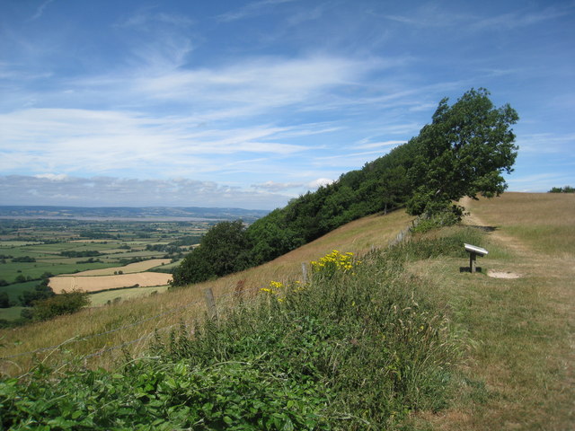 On Frocester Hill