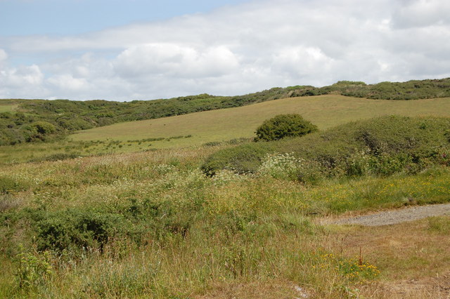 Looking inland from the bridleway at Predannack
