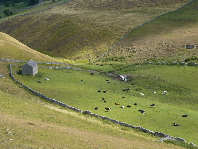 Barn and cattle, Narrowdale