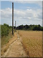 Footpath to Hampton Barns