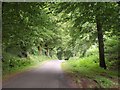 Road near East Barn