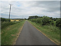 Wolds Lane looking North