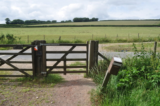 Exmoor : Gate & Road