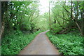 TQ3829 : Sussex Border Path by N Chadwick