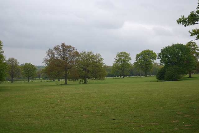 Trees north of Hurstwood Lane