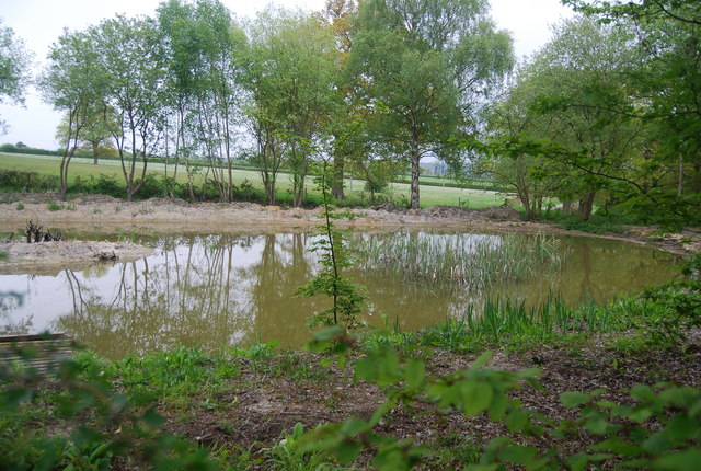 Pond by Hurstwood Lane