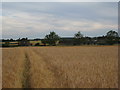 Footpath to New Holmes Farm