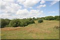 Land by the quarry