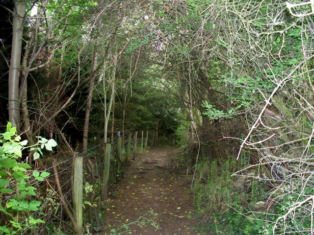 Footpath to Over Norton [3]