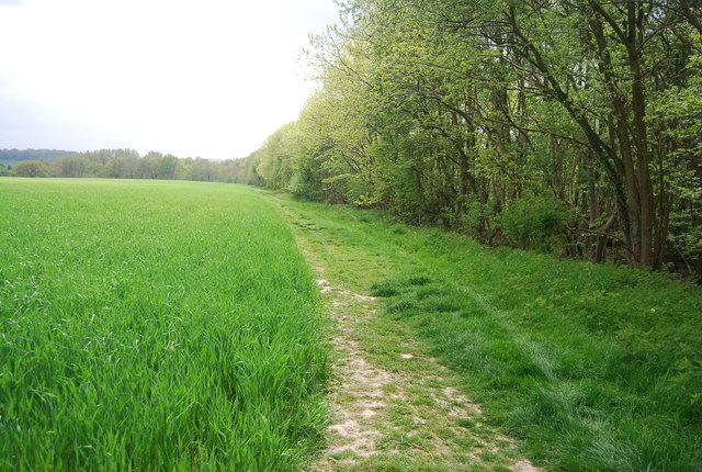 Sussex Border Path along Long Plantation