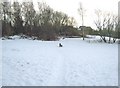 A snow covered path