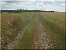 TR1863 : Footpath to Calfs Wood by David Anstiss