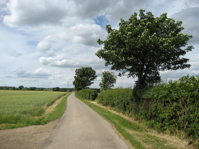 Access Lane leading North towards Low Dinsdale